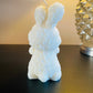 Rose Bunny