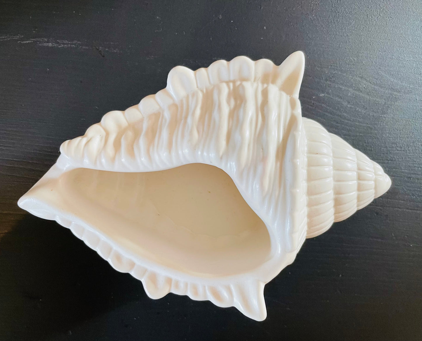 Shell Tray