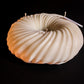 Wreath 6 Wick Candle